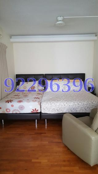 Woodlands Street 32 thumbnail photo
